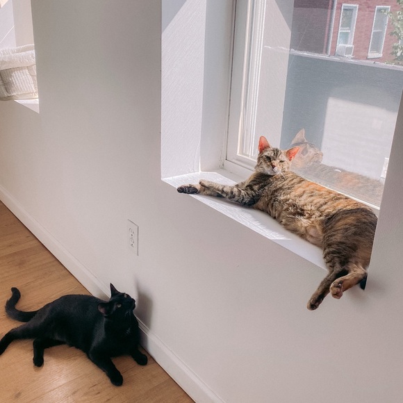 Meet your Posher, Julia - Picture 3 of 4